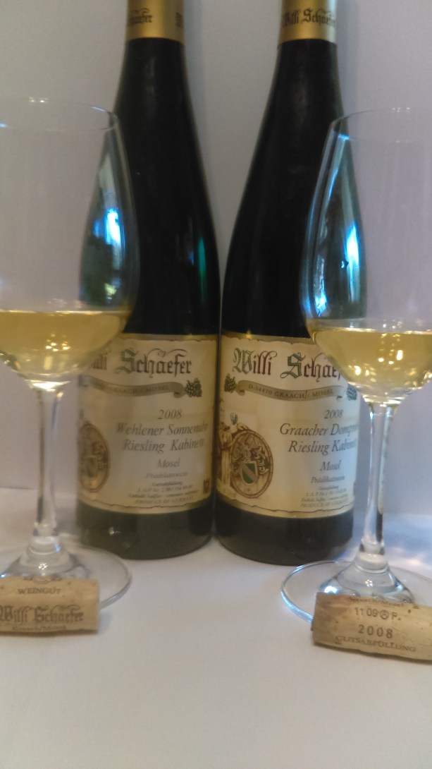 willi schaefer 2008 x2